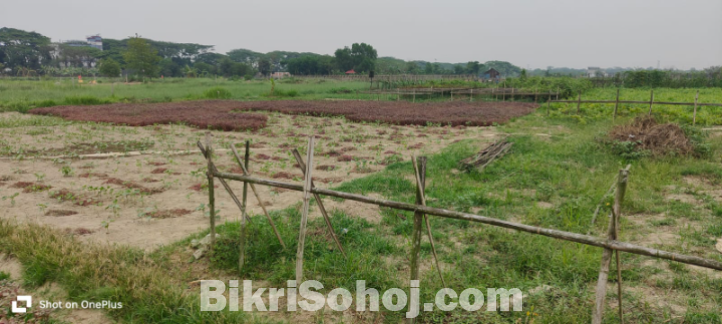 মোহাম্মদপুরের কাছে কেরানীগঞ্জের মুক্তধারা
